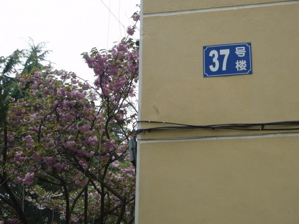 http_imgload (5).jpg