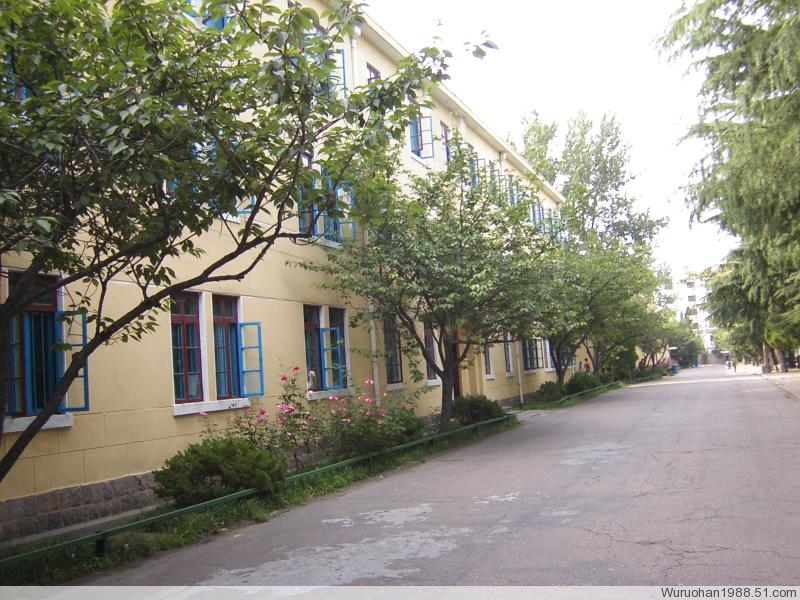 http_imgload (6).jpg